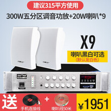 先科壁挂音响音箱室内无线蓝牙套装背景音乐公共广播商铺超市餐厅悬挂壁式天花吸顶服装奶茶店 300W五分区功放+20W壁挂9个（315平）