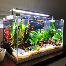 森森 水草缸超白玻璃鱼缸客厅小型生态水族箱中型桌面金鱼缸 金晶超白玻璃HEK-300+过滤器+灯
