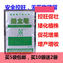 小麦水稻大豆矮壮素蔬菜控旺剂果树控梢促花促控剂抗倒伏增产药肥 拍5袋包邮