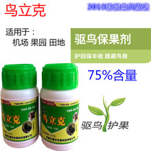 驱鸟剂驱鸟器机场果园专用药新型驱鸟剂专用驱赶麻雀鸽子喜鹊鸟飞绝 500克（配发10瓶50克的）