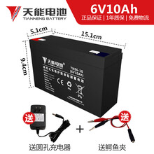天能儿童电瓶车电瓶6v10ah童车电瓶6v蓄电池大容量6V12AH四轮汽车3FM10/20HR 天能6V10ah电瓶（送充电器）