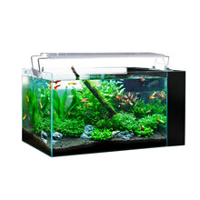 SEA STAR鱼缸客厅小型 家用乌龟缸子弹头水族箱水陆缸装饰金鱼生态草缸 300C（30*17*20cm)标配
