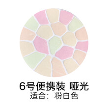 日本Elegance雅莉格丝E大饼欢颜粉饼家庭27g便携8.8g替换 6号便携装 VI号