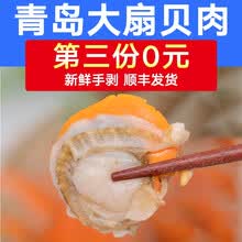 【两份免邮 第三份0元】渔哥戏鱼 扇贝肉500g 新鲜冷冻大扇贝1斤生鲜贝类蒜蓉粉丝扇贝 海鲜水产