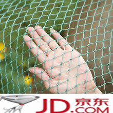 家禽养殖网围鸡网防鸟网尼龙网护栏网球场网植物爬藤网家用天网 12股2厘米 1米宽10米长