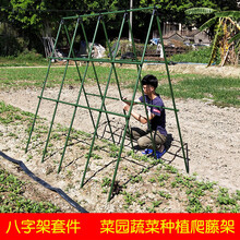 俭敏耀 豆角黄瓜爬藤架子家庭种植架菜园蔬菜植物支撑架大棚骨架户外种菜园艺支架庭院葡萄架子丝瓜阳台 20mm粗 长1.8米*高1.8米 5纵4横