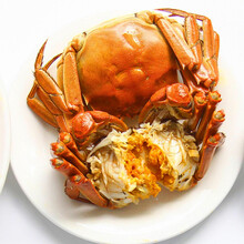 【活蟹】巨蟹汇螃蟹鲜活大闸蟹现货水产礼盒 六月黄 不分公母 2.7-3.0两 10只