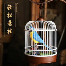 西骑士 鹦鹉玩具鸟笼带会叫的小鸟玩具3-6周岁男孩女孩小孩玩具会动声控光控感应玩具 大鹦鹉