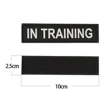 出众者宠物用品PVC贴章犬章胸背带项圈专用贴章夜间反光魔术贴章 夜间反光/in training