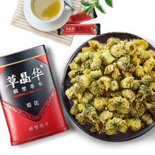 草晶华菊花破壁草本胎菊破壁花茶粉 20袋/罐