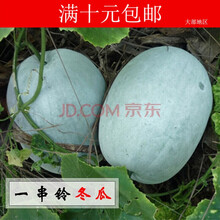 TLHHLZ一串铃小冬瓜种子口感粉甜脆嫩味浓早熟品种生长迅速20粒