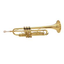 台湾WEYNA黄铜小号成人专业演奏降B调小号漆金