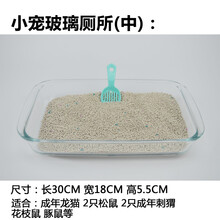 兔子龙猫小号三角厕所方形大号厕所松鼠荷兰猪天竺鼠通用尿盆厕所 玻璃厕所（中号）