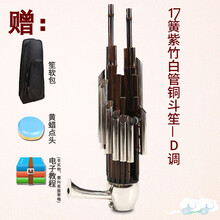 米囹 笙乐器初学者14簧方笙17簧21簧圆笙降B降CED调初学笙乐器 17簧紫竹白管铜斗笙-D调
