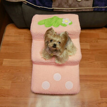 新品宠物楼梯台阶三层小型泰迪约克夏雪纳瑞可爱夏季可拆洗上床梯 粉色草莓 单独布套(用于替换)