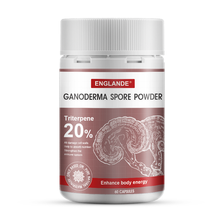 【去壁提纯 灵芝三萜20%】ENGLANDE破壁灵芝孢子粉 增强免疫力补品灵芝粉 灵芝孢子粉-灵芝三萜含量20%