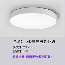 新款客厅灯长方形LED吸顶灯具卧室吊灯简约现代大气阳台灯 白色 天圆30cm白光18w
