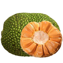 泽鲜达越南进口红肉菠萝蜜一整个新鲜红心波罗蜜干苞应季水果整箱 14-16斤整颗