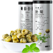 菊花茶 花茶 桐乡杭白菊 茶叶胎菊王 菊花花草茶