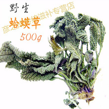 【500克 亏本卖】蛤蟆草  干500克 整颗带根 癞蛤蟆草雪见草荔枝草幼苗干品 华佗拾遗