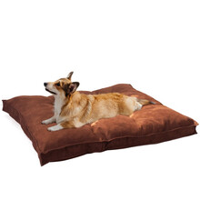 憨憨宠 狗垫子 大型犬中型犬小型犬狗窝加厚狗床泰迪柯基金毛拉布拉多睡垫宠物狗狗窝垫用品 M号 60*70cm 适合柯基等中型犬