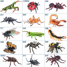 儿童仿真昆虫模型动物玩具蜜蜂独仙角蝴蝶草蜢螳螂七星瓢虫礼物 15只经典套装