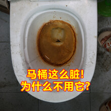 洁娘子洁厕灵马桶清洁剂洁厕液蓝泡泡洁厕宝厕所除臭洁厕剂清洗剂洁厕块洗厕所洁厕净精洗马桶卫生间除异味 马桶清洁剂一瓶