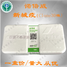 诺倍威鸡新城疫C30活疫苗Clone30株克隆C30禽疫苗鸽子疫苗 兽用 诺倍威
