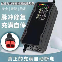 台铃电动车充电器专用两孔云插头自动关机智能快充48V2A60V3A72V4A20AH30AH32AH 台铃云插：48V2A(12ah)智能断电