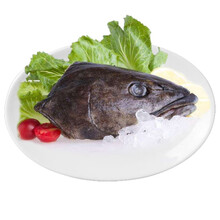 鲟食生鲜 南极犬牙鱼 银鳕鱼头 煲汤食材 年货送礼海鲜大礼包 私房菜 银鳕鱼头（1.2-1.5斤）/个