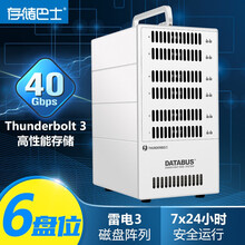 存储巴士(databus)元谷DS5600移动硬盘磁盘阵列雷电3六盘位RAID4K高清3.5英寸 银色 48TB