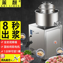 莱靓 肉丸打浆机商用 绞肉机大功率多功能打肉丸机家用鱼丸肉浆肉泥机全自动不锈钢 第三代防水22型220V 3-6斤量