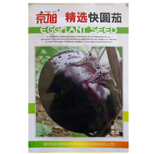 苏瑞 京旭蔬菜种四季播种阳台盆栽花卉南瓜番茄甜瓜草莓辣椒黄瓜西红柿西瓜菜种籽 精品快圆茄
