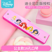迪士尼10孔口琴儿童24孔初学者成人复音c调口风琴幼儿园礼物玩具 公主款（16孔）