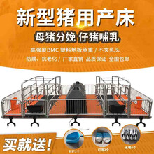 母猪产床保育两用猪用单体双体分娩床母猪定位栏猪用保育床限位栏畜牧养猪设备 1.8厚2.2X3.8新款产床