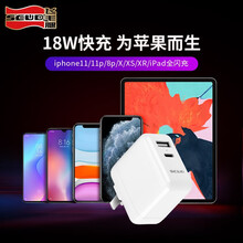 飞毛腿苹果快充PD18W充电器45W闪充头iPhone12/11Pro/XSMax/macbook K211P 18W PD USB-C/Type-C 3C强制认证充电器