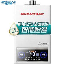【上门包安装】斯科邦（Sikebang）无极变升燃气热水器强排式智能恒温家用变频恒温 【12升流光银】节能变频恒温 无极变升 罐装煤气/液化气(20Y)