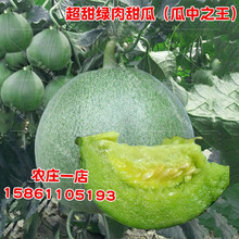 绿宝石甜瓜种子香瓜种籽绿肉薄皮超甜春季四季盆栽水果种孑苗 绿宝石绿皮绿肉甜瓜20粒 超甜