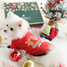 Innopet 圣诞新款上市 限量ins网红小狗狗猫咪衣服圣诞变身装秋冬装泰迪比熊博美猫咪幼犬变身装 圣诞圆领3个小朋友 3号.M(4-6斤适用)