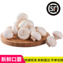 爱心东东	
旷古农业蘑菇1斤新鲜 食用菌口蘑鲜白蘑菇 口菇 健康轻食 500g 新鲜蘑菇