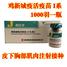 鸡疫苗 马立克 法氏囊 鸡痘 新城疫 喉气管炎苗 新支二联 新匹克 兽用 新城疫 I系加泡沫箱冰袋