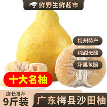 【纯甜】正宗广东梅州沙田柚子小金柚白心肉当季孕妇新鲜水果容县 【礼盒装】2枚（5-5.5斤） 甄选一级果