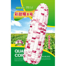 草莓玉米种子大全甜玉米种孑四季黑糯白水果玉米种籽春季牛奶甜糯 彩甜糯8号玉米(又甜又糯)200g装