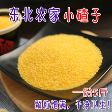 东北农家玉米渣小碴子五谷杂粮粗粮糯玉米糁笨苞玉米碎煮粥5斤装