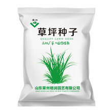 美外 草坪种子  四季  青狗牙根草籽猎狗五号剪股颖庭院免修剪耐寒草坪草绿化 天鹅绒 耐阴