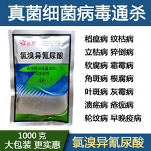 天令 50%氯溴异氰尿酸 软腐病霜霉病白叶枯病土壤消毒病毒病杀菌剂农药 100g