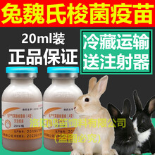兔魏氏梭菌单联疫苗兔用疫苗兔疫苗兔子疫苗华宏疫苗注射液 兽用 1瓶