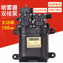 电动喷雾器水泵12V农用高压智能自吸12伏大功率双泵马达电机 12V强劲双核泵(带双泵泵)