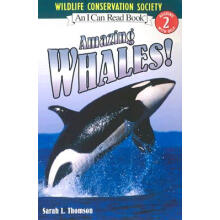 Amazing Whales! 进口儿童绘本