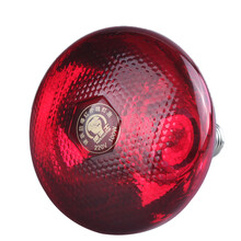 猪博士养殖保温灯 仔猪保温灯泡加热灯 红色麻面250W（10个）